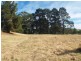 27-31 Auckland St, Candelo NSW 2550
