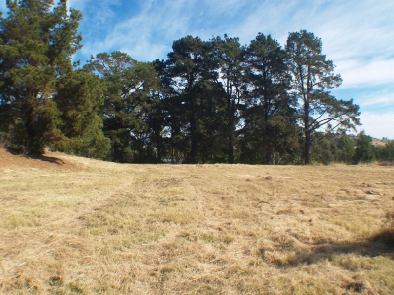 27-31 Auckland St, Candelo NSW 2550