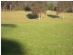 34 Lot Stafford Drive, Kalaru NSW 2550