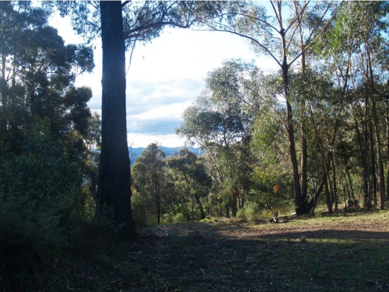 Lot 39 Blackrange Rd, Bega NSW 2550