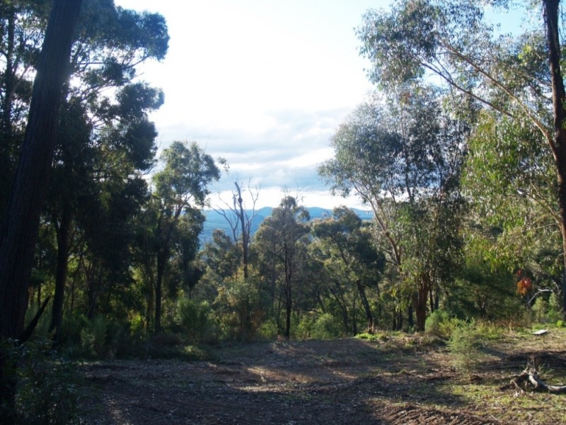 Lot 39 Blackrange Rd, Bega NSW 2550