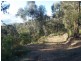 Lot 39 Blackrange Rd, Bega NSW 2550