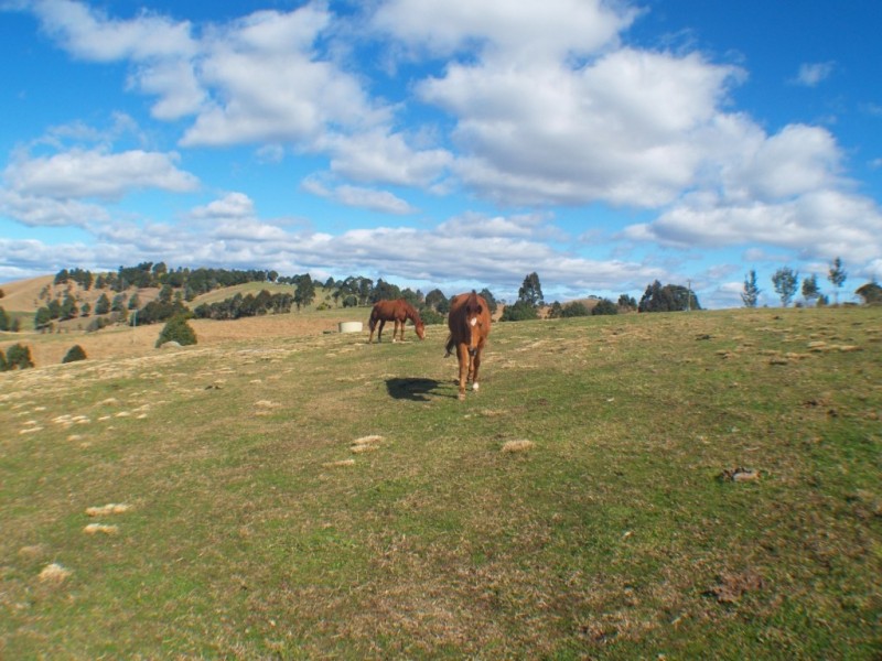 80 Brianderry Rd, Bega NSW 2550