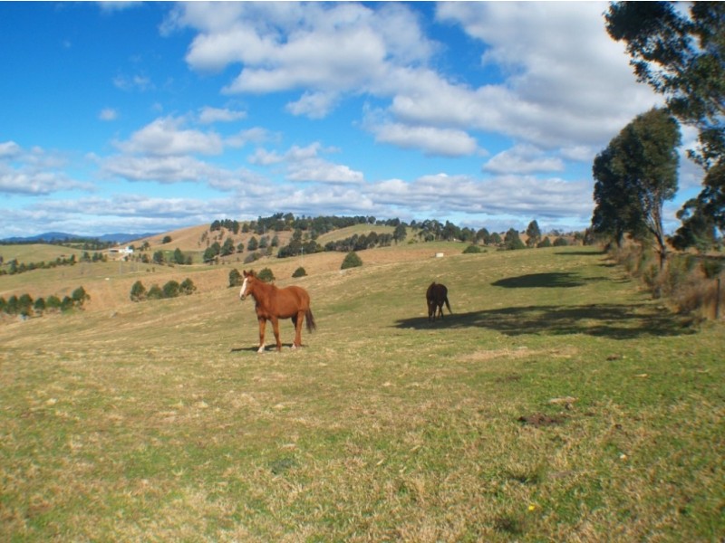 80 Brianderry Rd, Bega NSW 2550