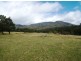 Lot 55 Furners Rd, Bemboka NSW 2550