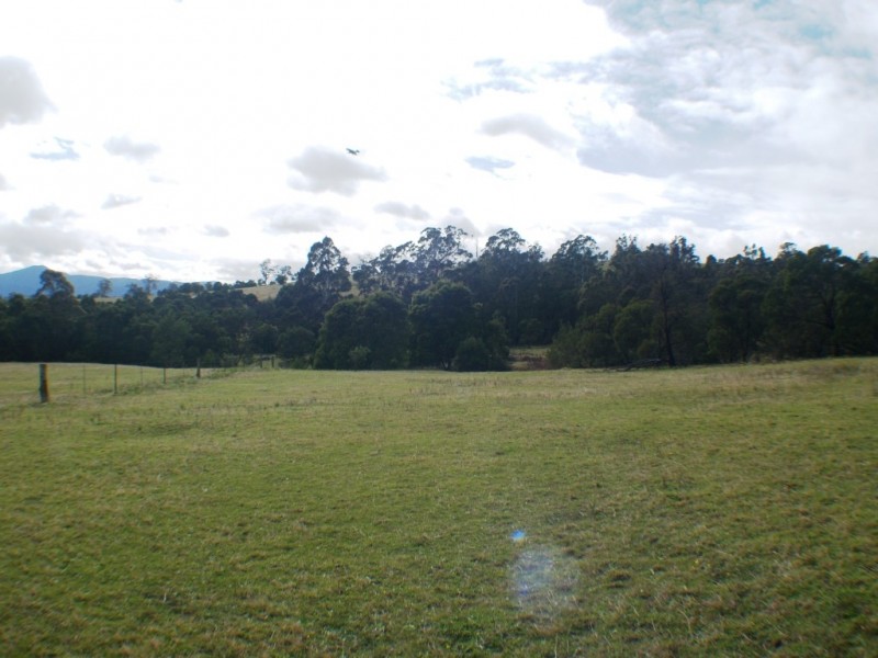 Lot 55 Furners Rd, Bemboka NSW 2550