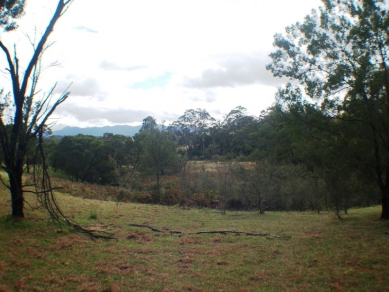 Lot 55 Furners Rd, Bemboka NSW 2550