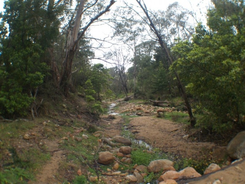 Lot 55 Furners Rd, Bemboka NSW 2550