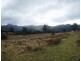 549 Yankees Gap Road, Bemboka NSW 2550