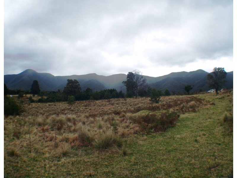 549 Yankees Gap Road, Bemboka NSW 2550