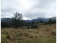 549 Yankees Gap Road, Bemboka NSW 2550