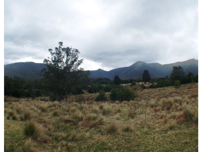 549 Yankees Gap Road, Bemboka NSW 2550