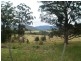 549 Yankees Gap Road, Bemboka NSW 2550