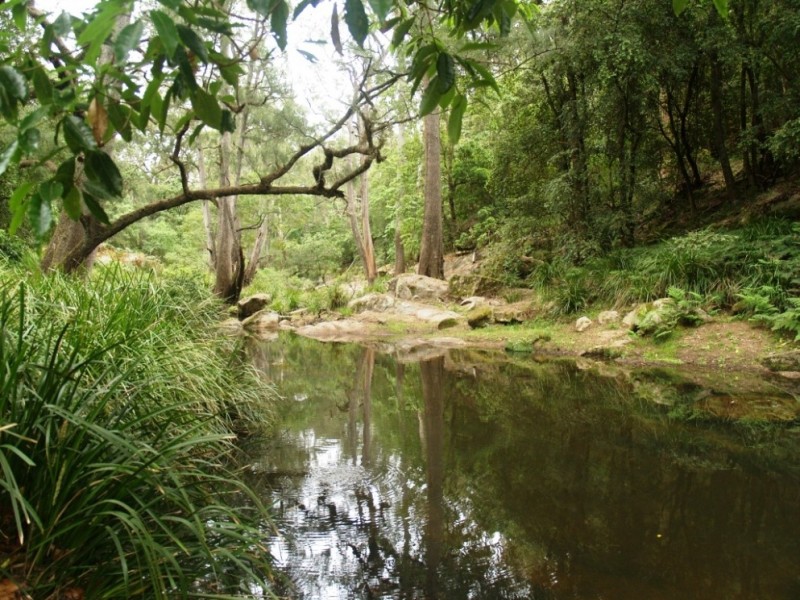 624 Yowrie Rd, Cobargo NSW 2550