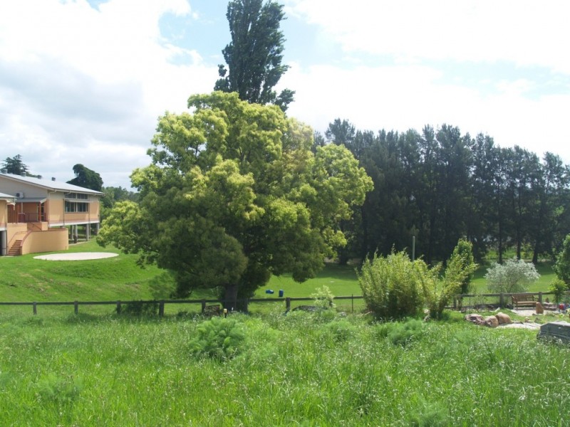 16 (Lot 17) Millowine Lane, Bega NSW 2550