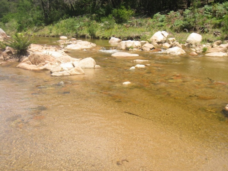 Lot A Tantawangalo Mtn Rd, Candelo NSW 2550