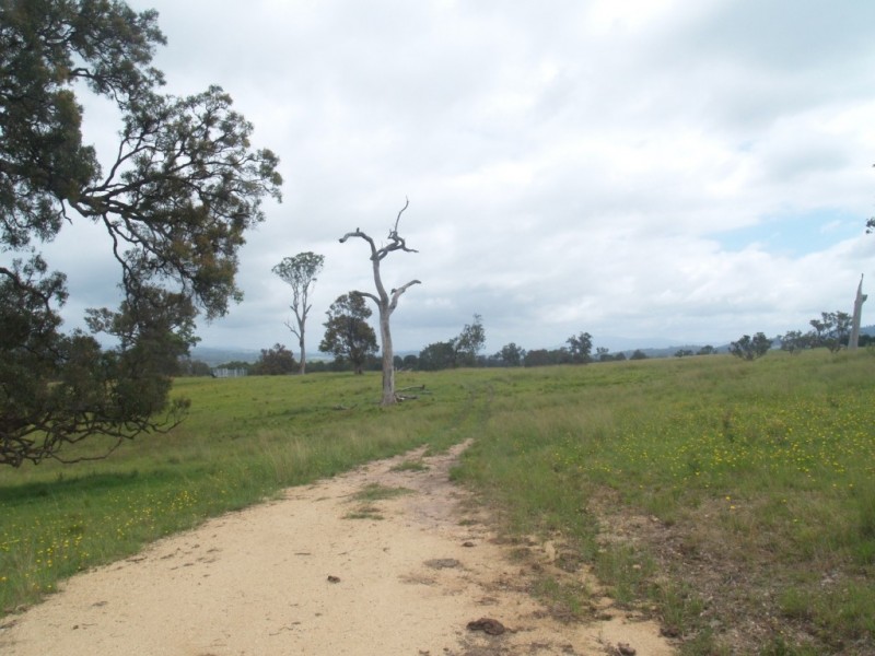 14 Newlyns Rd, Frogs Hollow NSW 2550