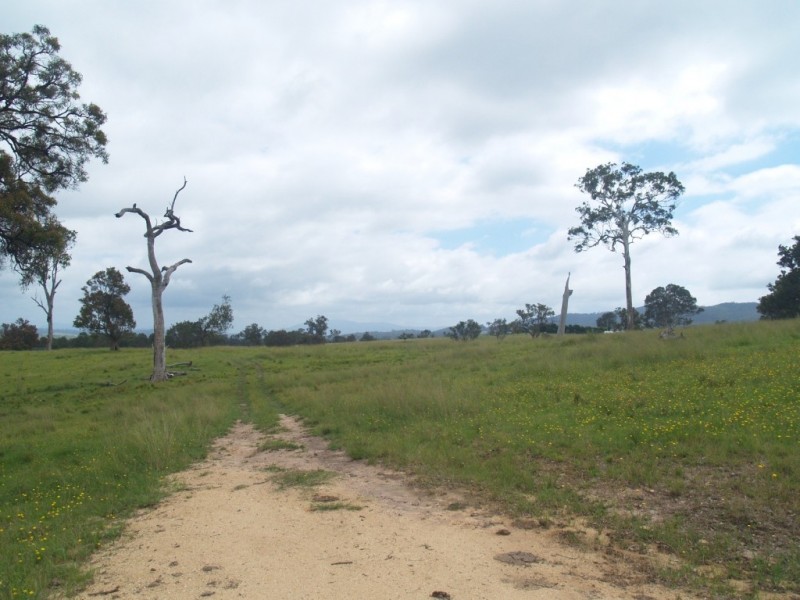 14 Newlyns Rd, Frogs Hollow NSW 2550