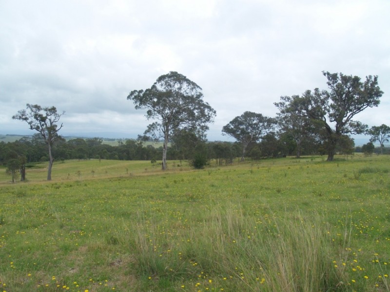 14 Newlyns Rd, Frogs Hollow NSW 2550