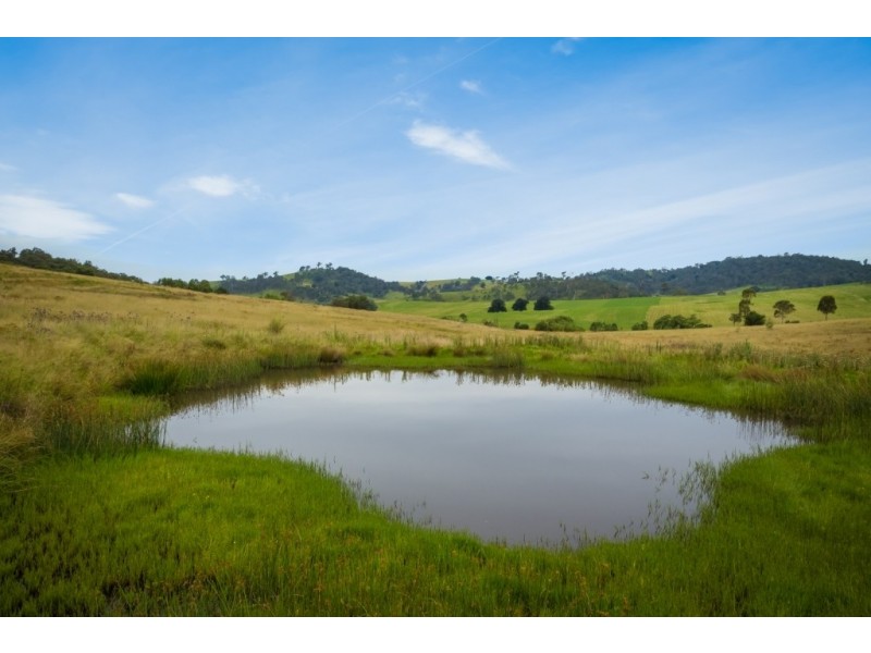 455 Slaters Lane, Candelo NSW 2550