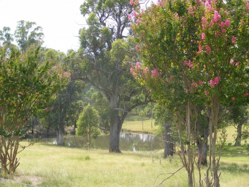 33 Moorlands Lane, Frogs Hollow NSW 2550