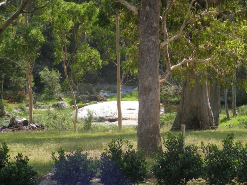 33 Moorlands Lane, Frogs Hollow NSW 2550