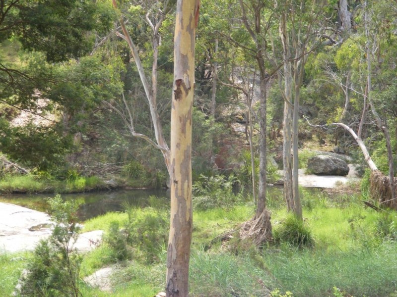 33 Moorlands Lane, Frogs Hollow NSW 2550