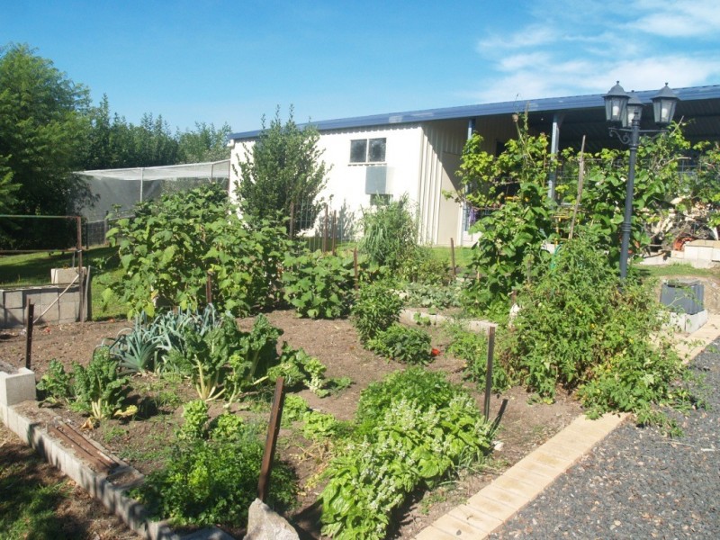 38 Daisy Hill Rd, Bega NSW 2550