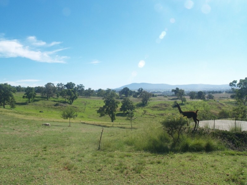 38 Daisy Hill Rd, Bega NSW 2550