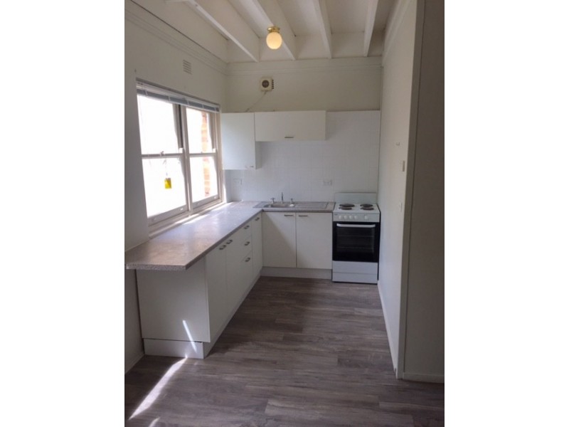 1/247 Darling Street, (4 Hoffmans Lane), Balmain NSW 2041