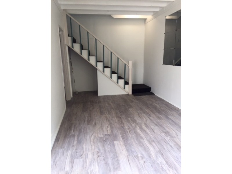 1/247 Darling Street, (4 Hoffmans Lane), Balmain NSW 2041