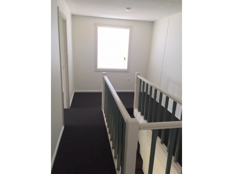 1/247 Darling Street, (4 Hoffmans Lane), Balmain NSW 2041