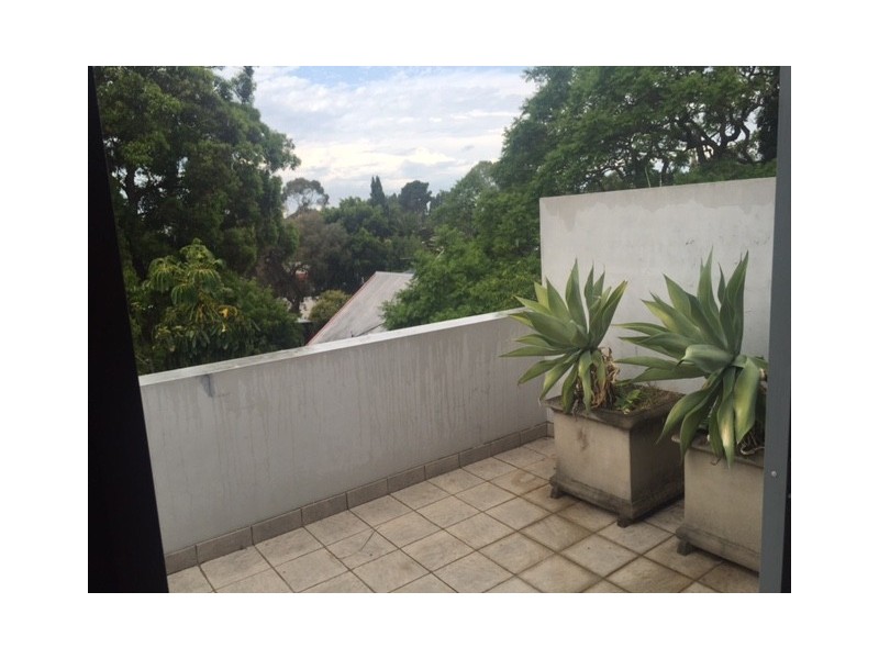 4/251 Darling Street, Balmain NSW 2041