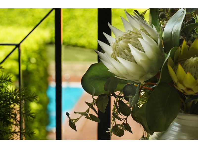 B7/1 Buchanan Street, Balmain NSW 2041