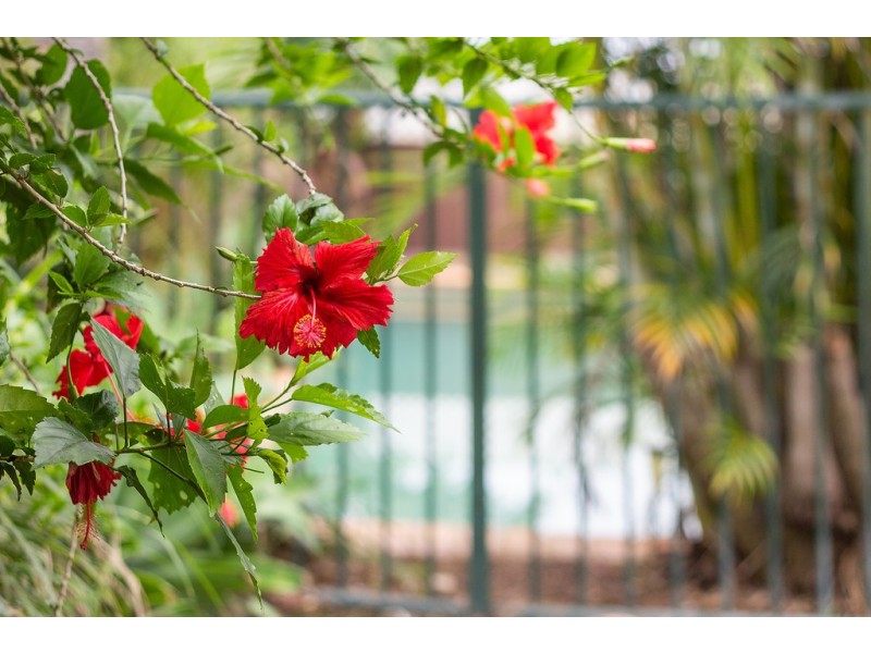 4 Milne Street, Ryde NSW 2112