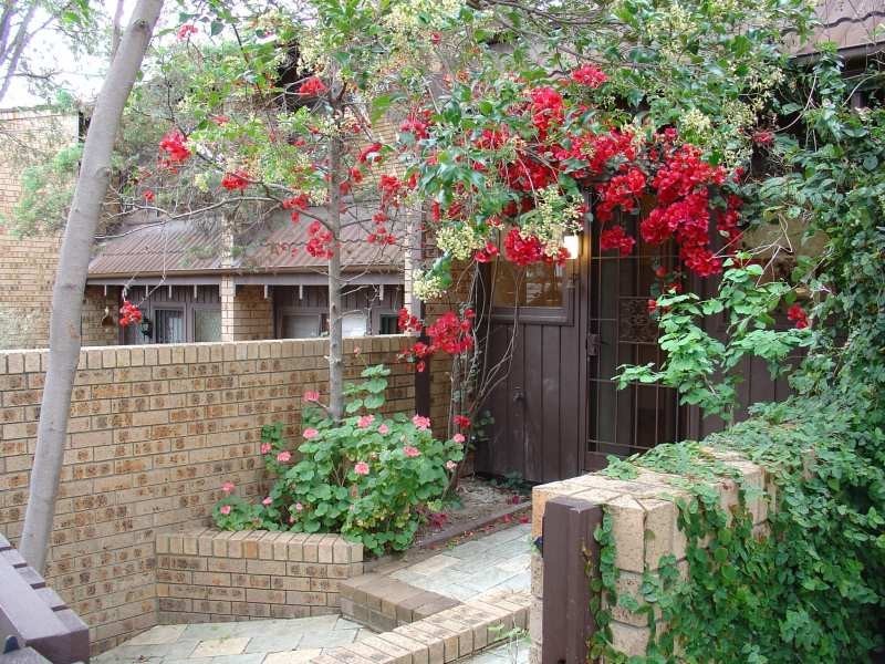 2/31 Alfred Street, Rozelle NSW 2039