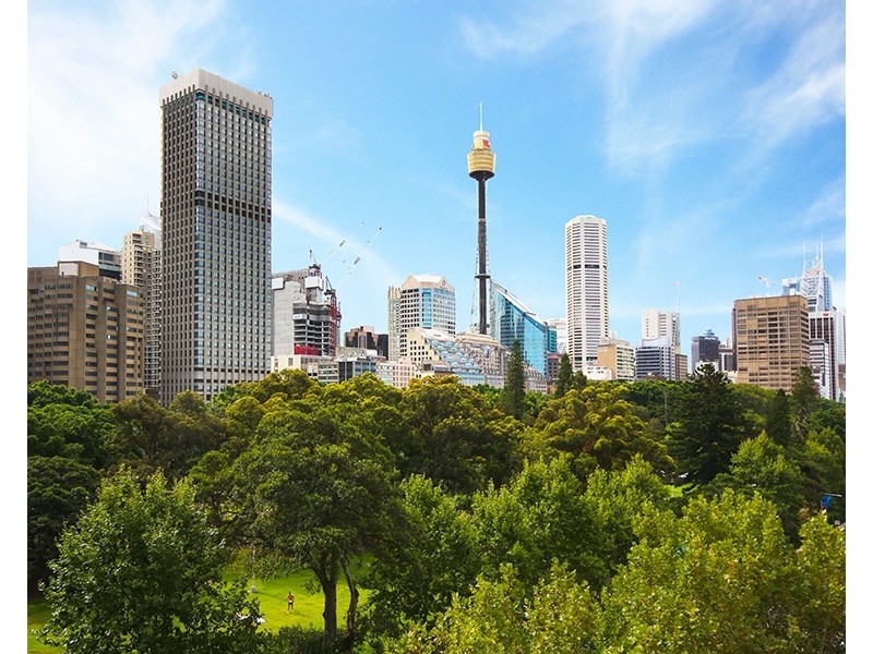 11/18 College Street, Sydney NSW 2000