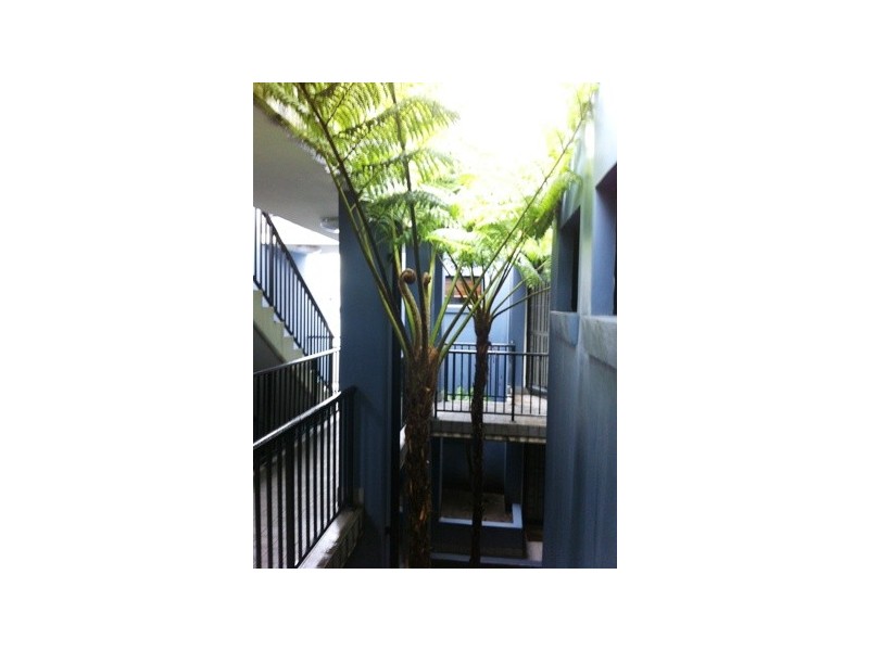 9/56 Church St, Camperdown NSW 2050