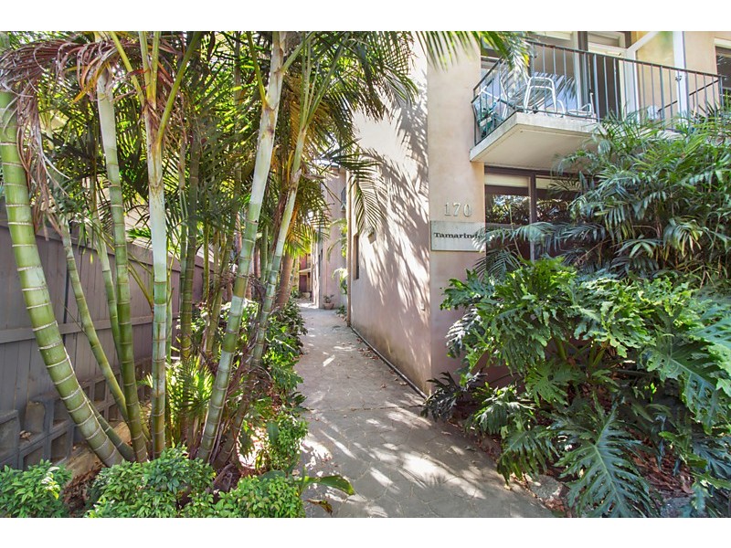 14/170 Nelson Street, Annandale NSW 2038