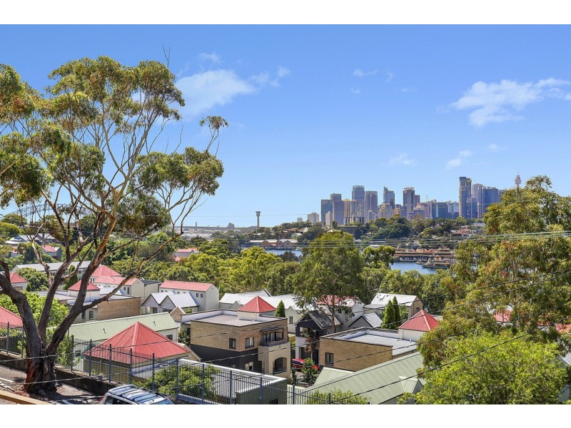 166 Short Street, Birchgrove NSW 2041