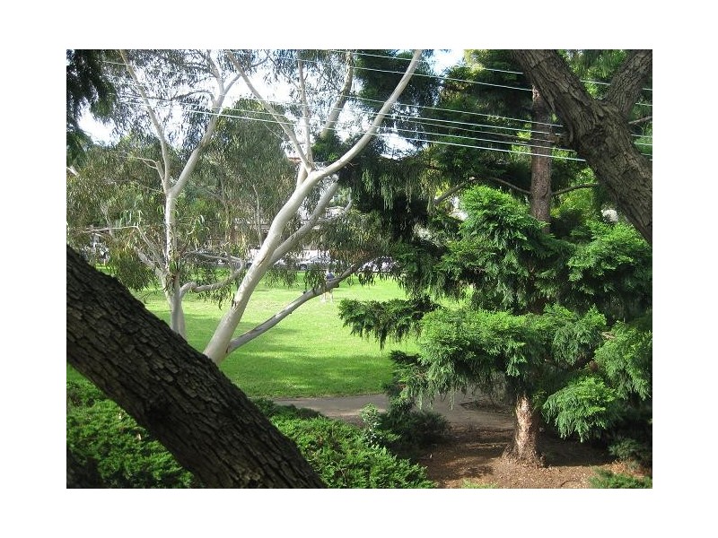 141 Beattie Street, Balmain NSW 2041