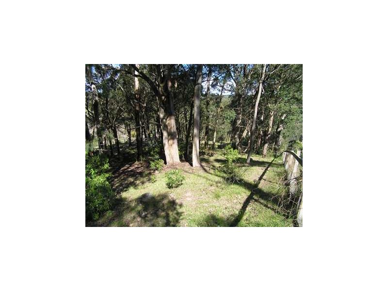 430 Avoca Drive, Green Point NSW 2251