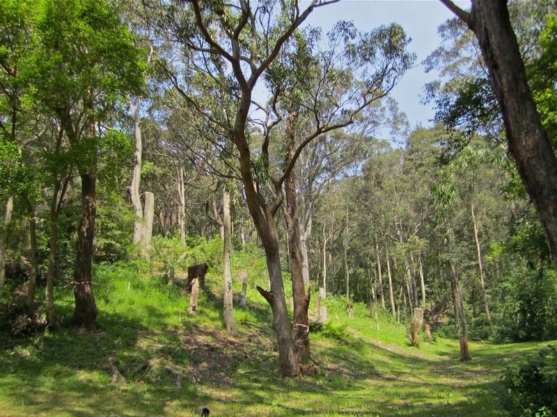 12 Heath Road, Hardys Bay NSW 2257