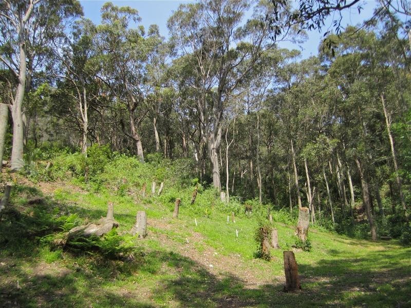 12 Heath Road, Hardys Bay NSW 2257
