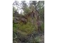 12 Heath Road, Hardys Bay NSW 2257