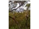 12 Heath Road, Hardys Bay NSW 2257