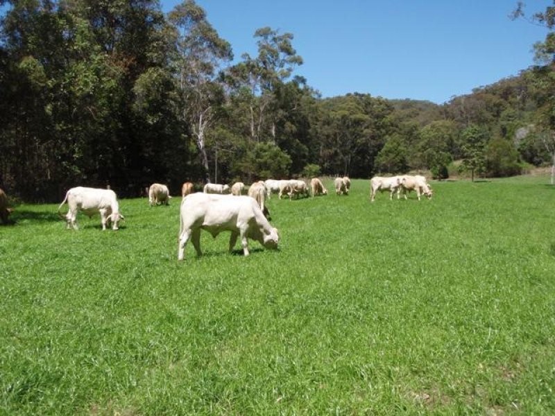 81 Litfin Road, Verrierdale QLD 4562