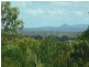 8 Moonare Crescent, Noosa Heads QLD 4567