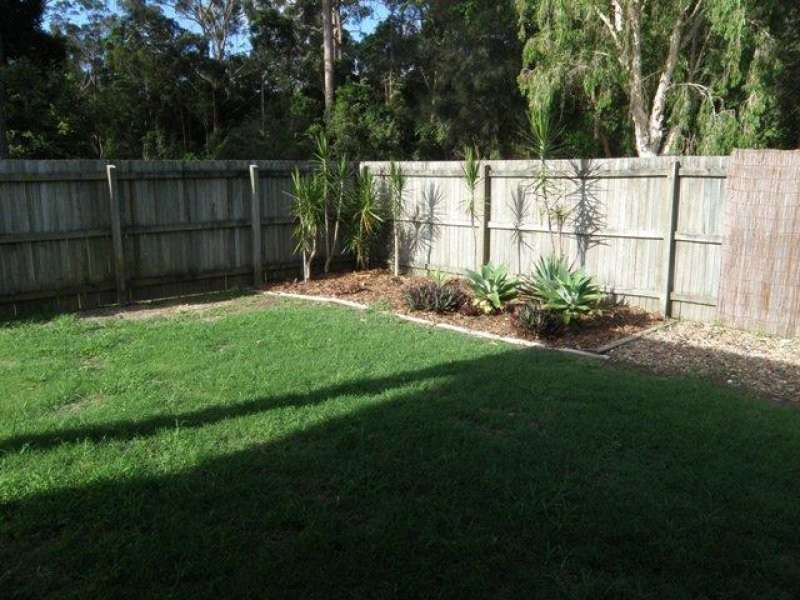 133 Griffith Avenue, Tewantin QLD 4565