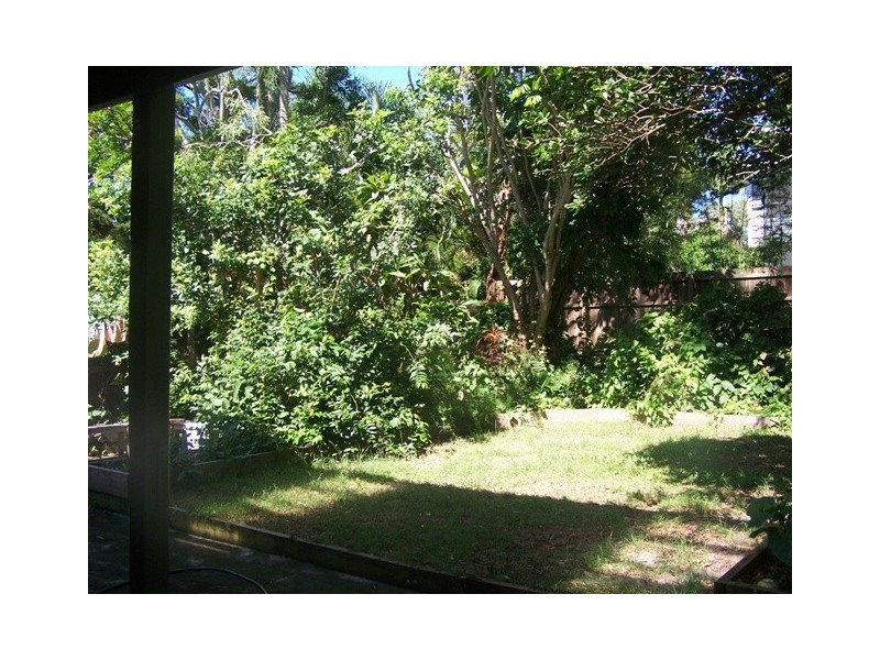 33 Pacific Avenue, Sunshine Beach QLD 4567